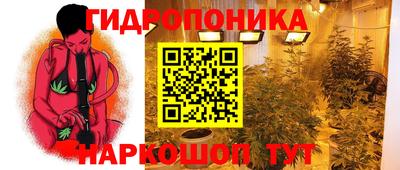 дмт Заводоуковск