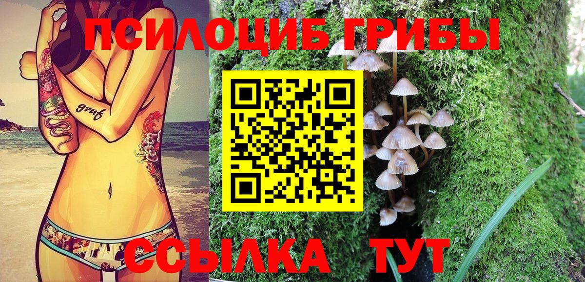 Псилоцибиновые грибы MAGIC MUSHROOMS Тейково