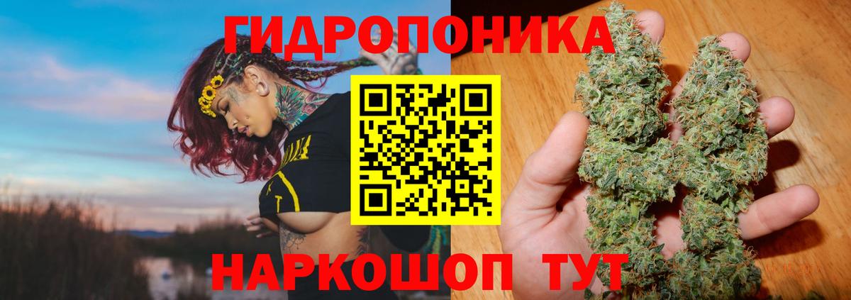 Бошки Шишки THC 21% Тейково